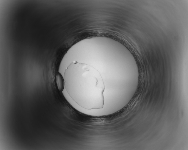 X0000088060328200705110919