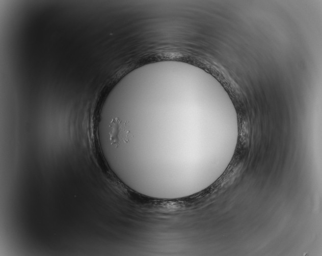 X0000088060330200705110919