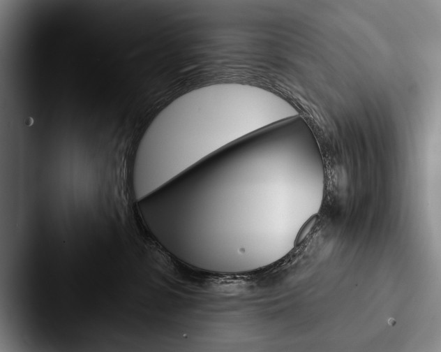X0000088060331200705110918