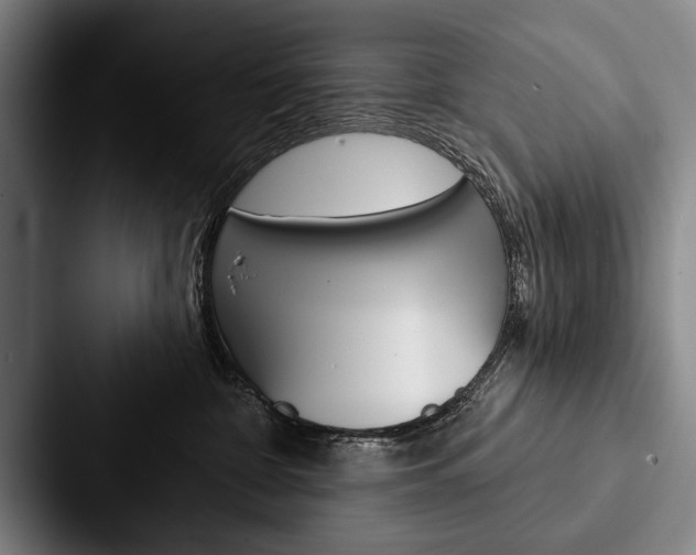 X0000088060332200705110918