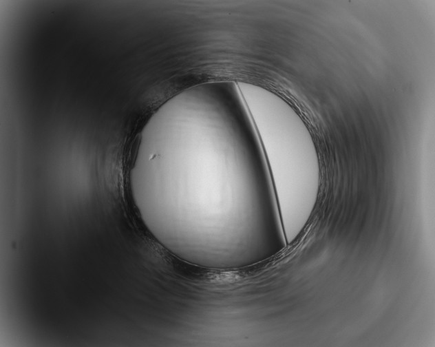 X0000088060333200705110918