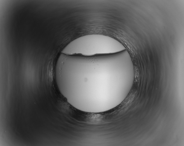 X0000088060334200705110918