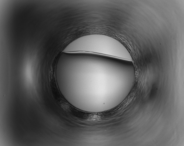 X0000088060335200705110918