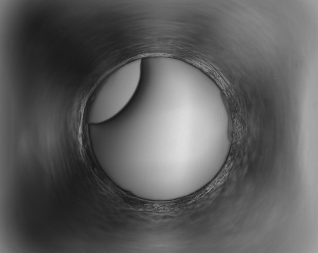 X0000088060338200705110918