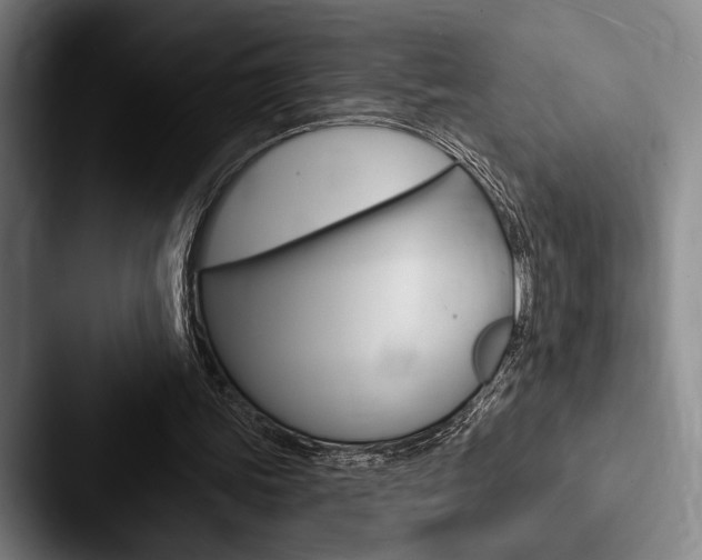 X0000088060339200705110918