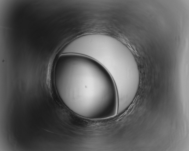 X0000088060340200705110918
