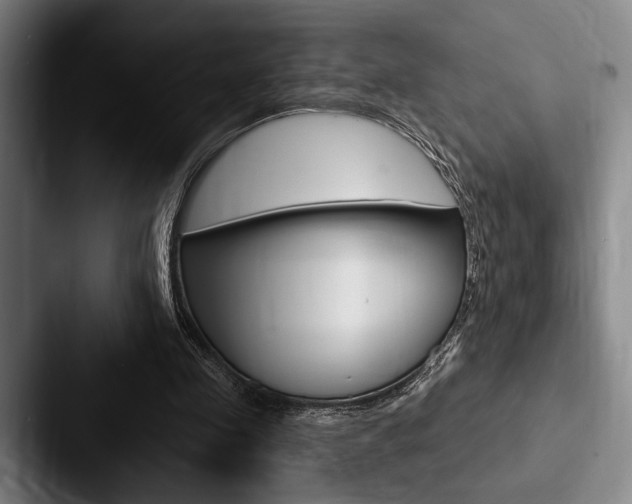 X0000088060341200705110918