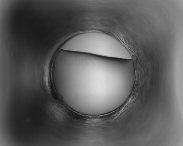 X0000088060342200705110918