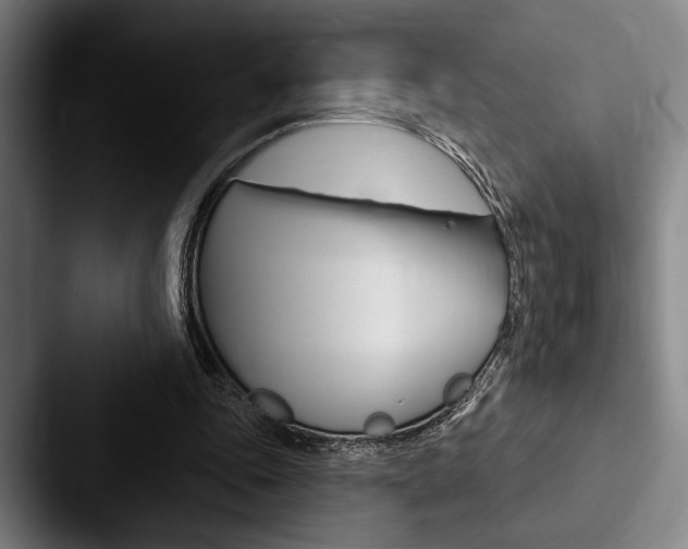 X0000088060343200705110918