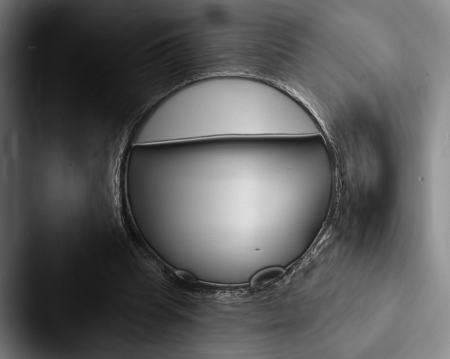 X0000088060345200705110918
