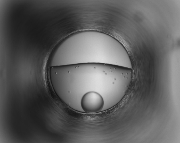 X0000088060346200705110918