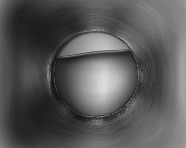 X0000088060350200705110918