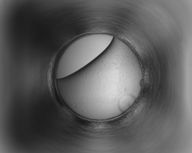 X0000088060351200705110918