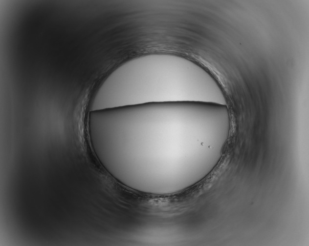 X0000088060353200705110918