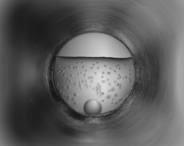 X0000088060354200705110918