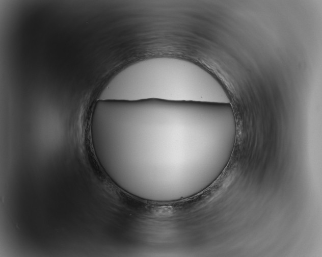 X0000088060355200705110918