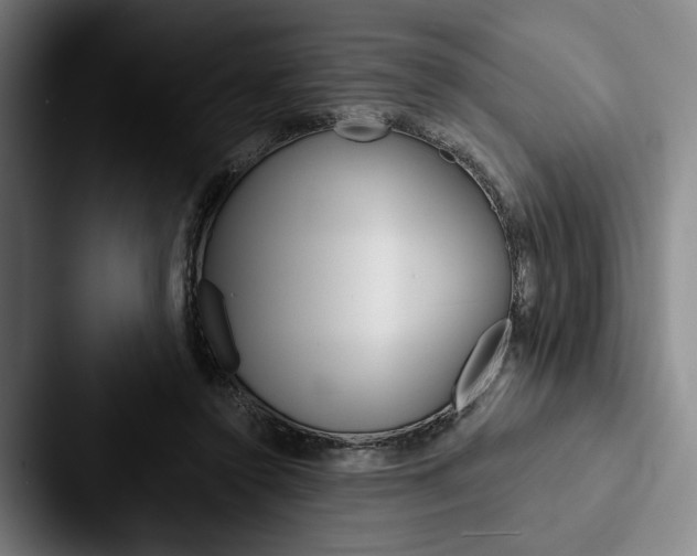 X0000088060356200705110918