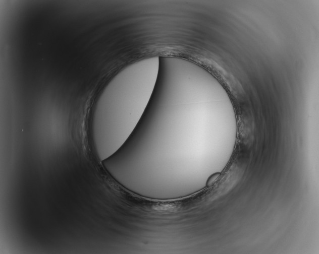 X0000088060357200705110918