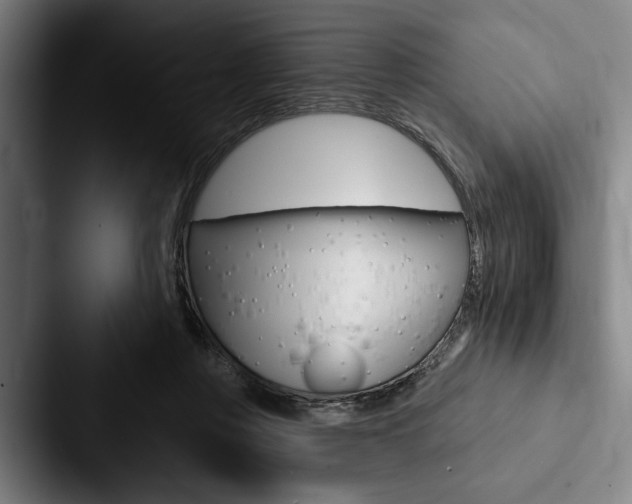 X0000088060359200705110918
