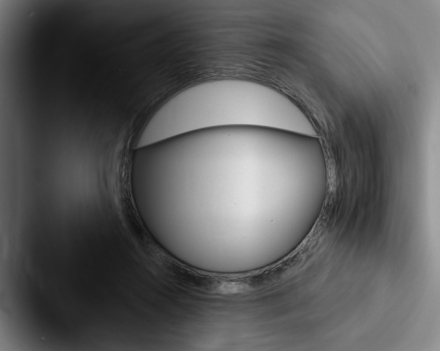 X0000088060360200705110918