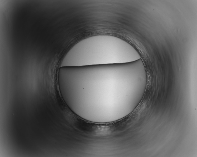 X0000088060361200705110918
