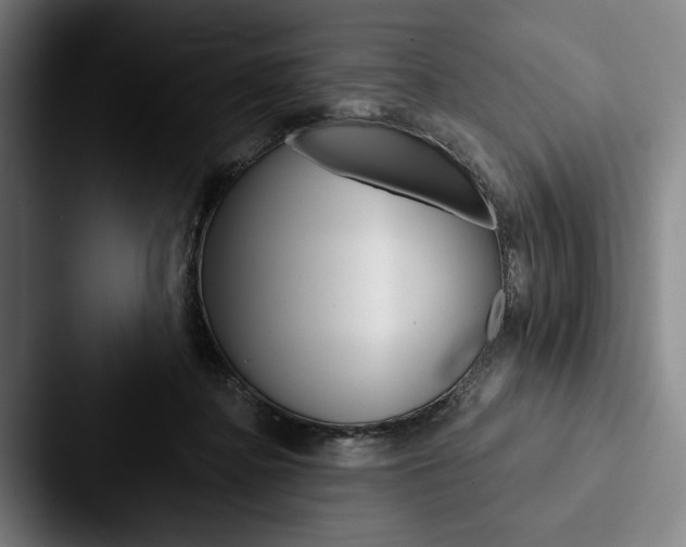 X0000088060364200705110918