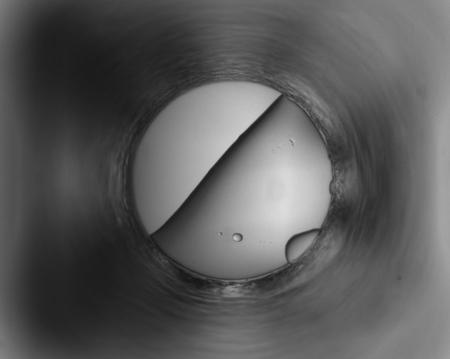 X0000088060365200705110918