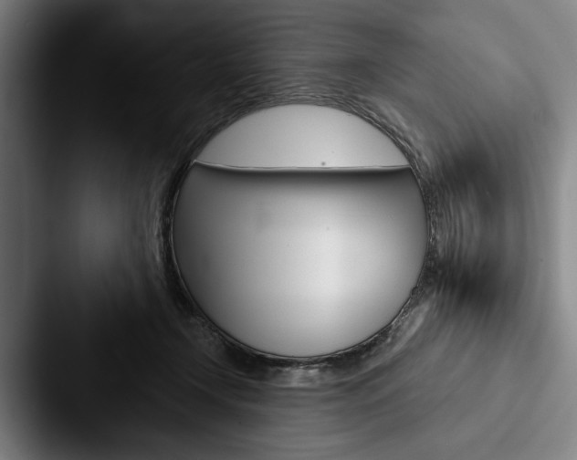 X0000088060366200705110918