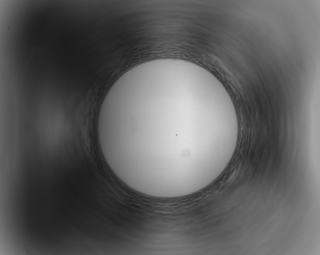 X0000088060368200705110918