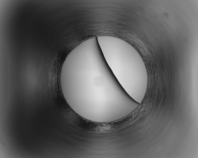 X0000088060369200705110918