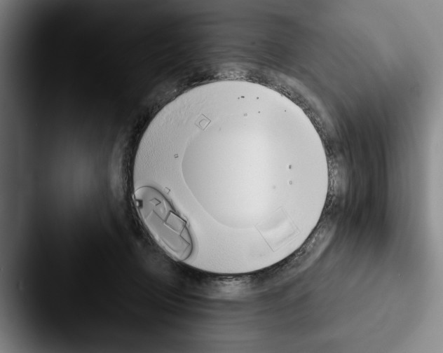 X0000088060370200705110918