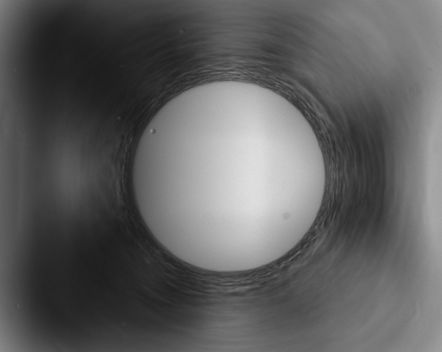 X0000088060372200705110918