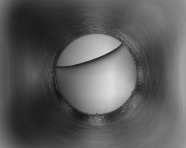X0000088060373200705110918