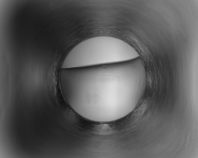 X0000088060374200705110918