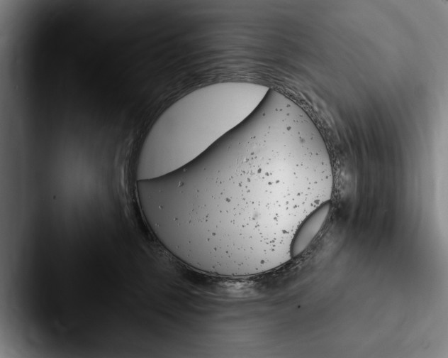 X0000088060375200705110918
