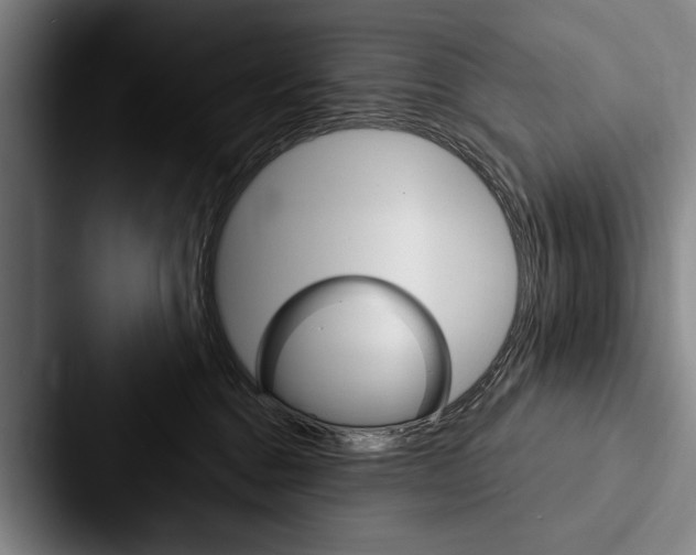 X0000088060376200705110918