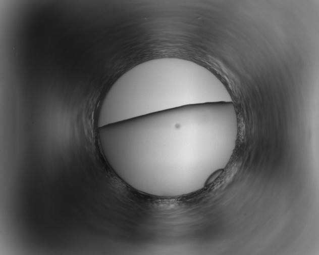 X0000088060377200705110918