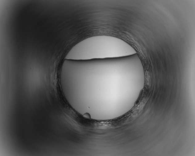 X0000088060378200705110918