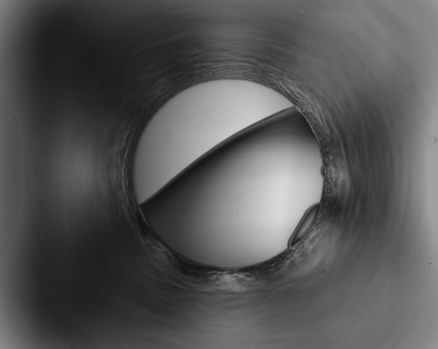 X0000088060379200705110918