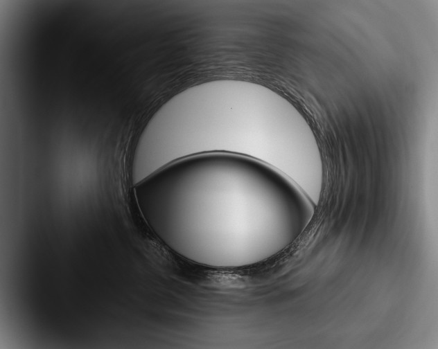 X0000088060380200705110918