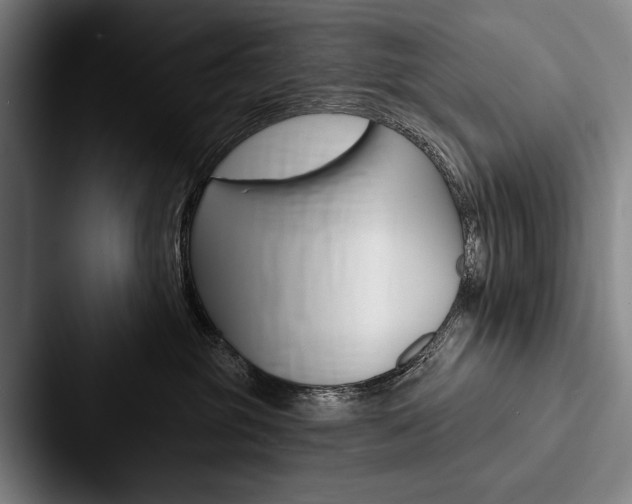 X0000088060381200705110918