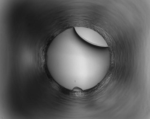 X0000088060383200705110918
