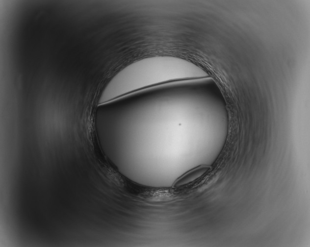 X0000088060384200705110918