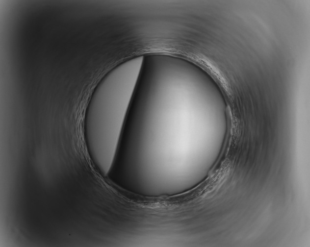 X0000088060385200705110918