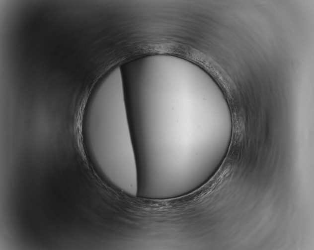 X0000088060386200705110918
