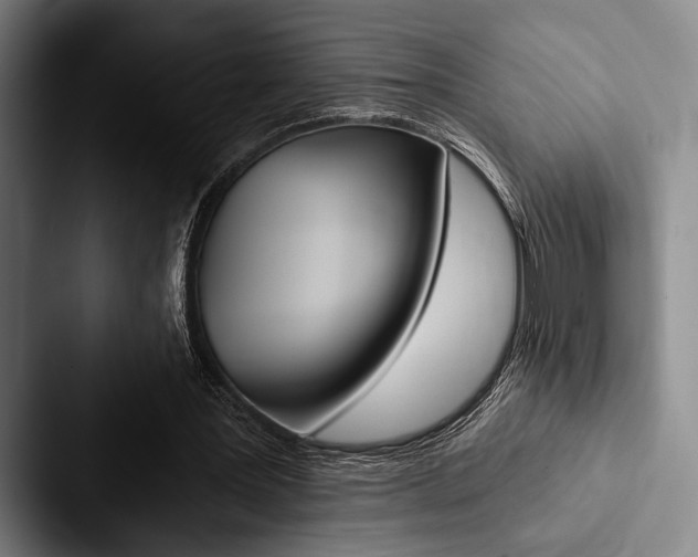 X0000088060387200705110918