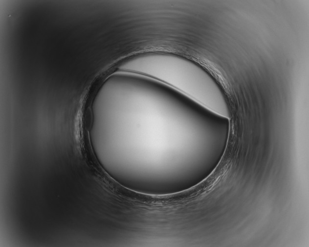 X0000088060388200705110918
