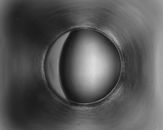 X0000088060389200705110918