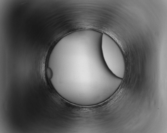 X0000088060390200705110918