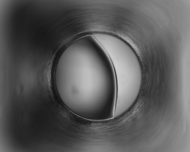 X0000088060391200705110918